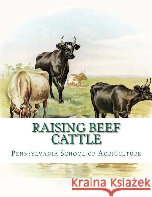 Raising Beef Cattle: Agricultural Bulletin 138 Pennsylvania School of Agriculture Jackson Chambers 9781985671881 Createspace Independent Publishing Platform - książka