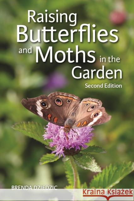 Raising Butterflies and Moths in the Garden Brenda Dziedzic 9780228104209 Firefly Books Ltd - książka