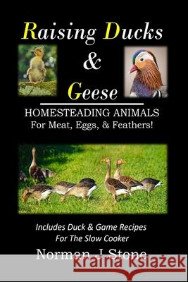 Raising Ducks & Geese - Homesteading Animals For Meat, Eggs & Feathers!: Includes Duck & Game Recipes For The Slow Cooker Norman J Stone 9798303277441 Independently Published - książka