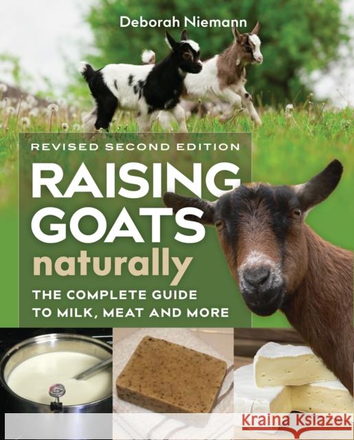 Raising Goats Naturally, 2nd Edition: The Complete Guide to Milk, Meat, and More Deborah Niemann 9780865718470 New Society Publishers - książka