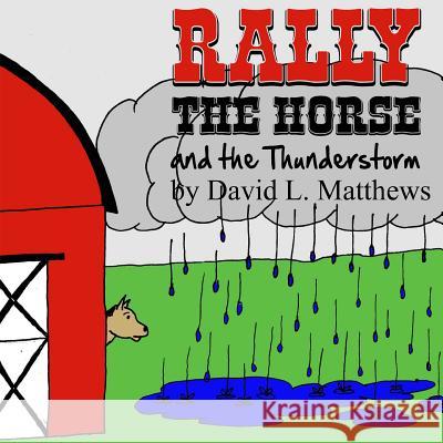 Rally the Horse and the Thunderstorm David L. Matthews 9781491009321 Createspace - książka