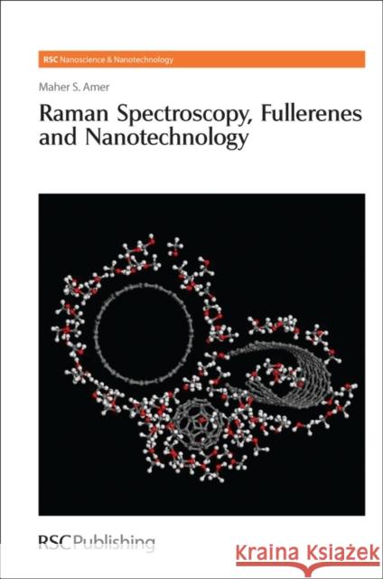 Raman Spectroscopy, Fullerenes and Nanotechnology Maher S Amer 9781847552402  - książka
