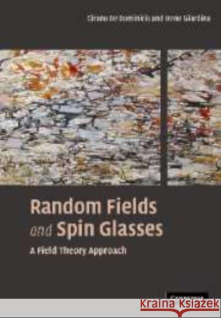 Random Fields and Spin Glasses: A Field Theory Approach De Dominicis, Cirano 9780521143554 Cambridge University Press - książka