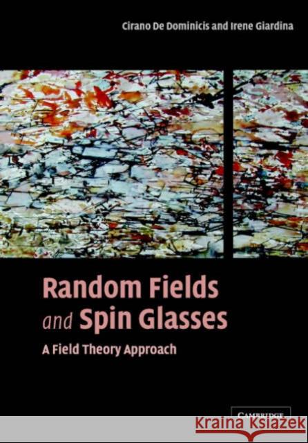 Random Fields and Spin Glasses: A Field Theory Approach De Dominicis, Cirano 9780521847834 Cambridge University Press - książka