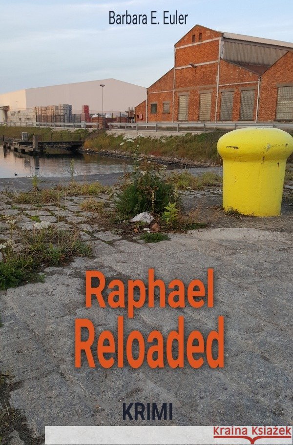 Raphael Reloaded Euler, Barbara E. 9783754162408 epubli - książka