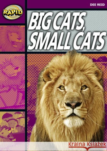 Rapid Reading: Big Cats Small Cats (Stage 1, Level 1A) Dee Reid 9780435907846 Pearson Education Limited - książka