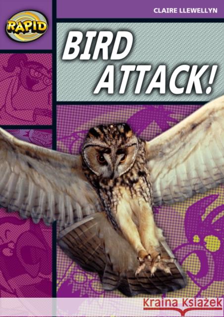 Rapid Reading: Bird Attack! (Stage 1, Level B) Claire Llewellyn 9780435910204 Pearson Education Limited - książka