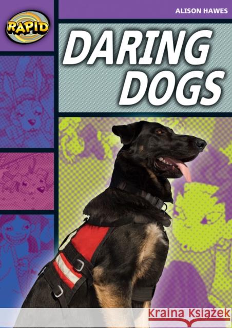 Rapid Stage 1 Set B: Daring Dogs(Series 1) Alison Hawes 9780435907860 Pearson Education Limited - książka