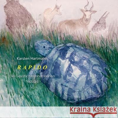 Rapido: die Geschichten einer kleinen Tortuga Hartmann, Karsten 9783752894462 Books on Demand - książka