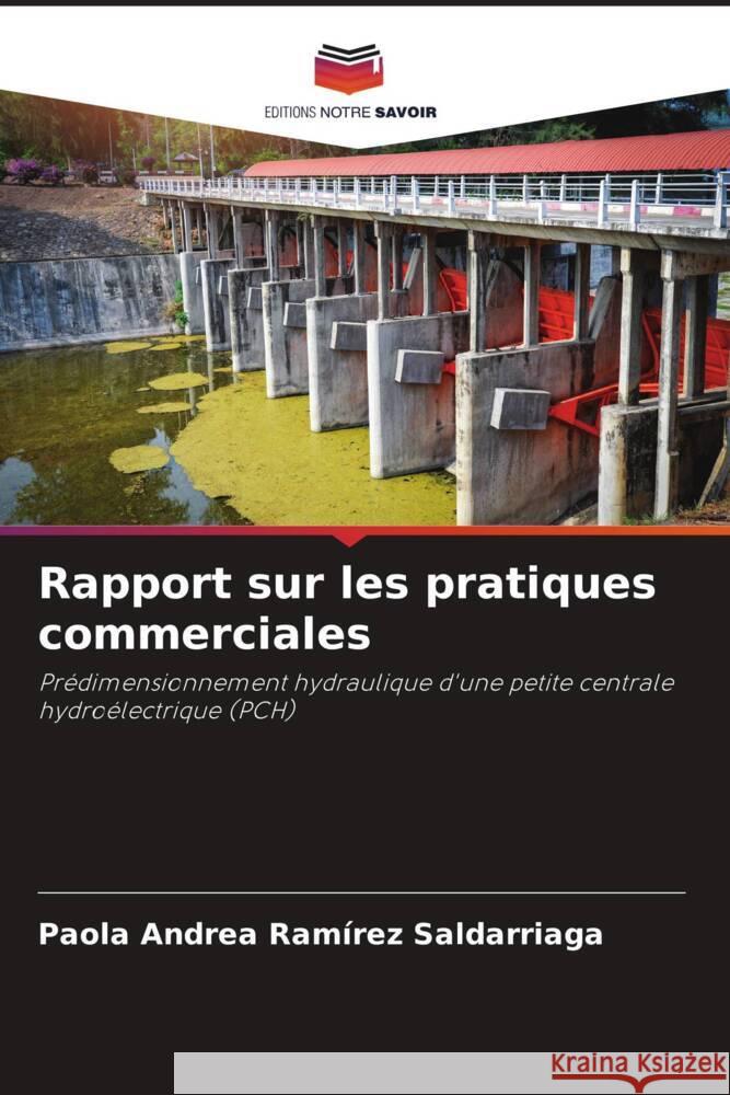 Rapport sur les pratiques commerciales Ramírez Saldarriaga, Paola Andrea 9786206339564 Editions Notre Savoir - książka