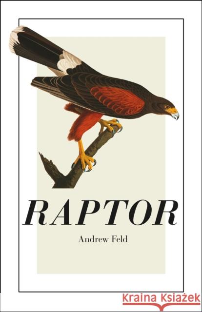 Raptor Andrew Feld 9780226240398 University of Chicago Press - książka