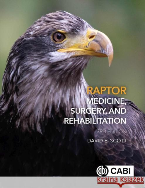 Raptor Medicine, Surgery and Rehabilitation David E. Scott 9781789246100 Cabi - książka