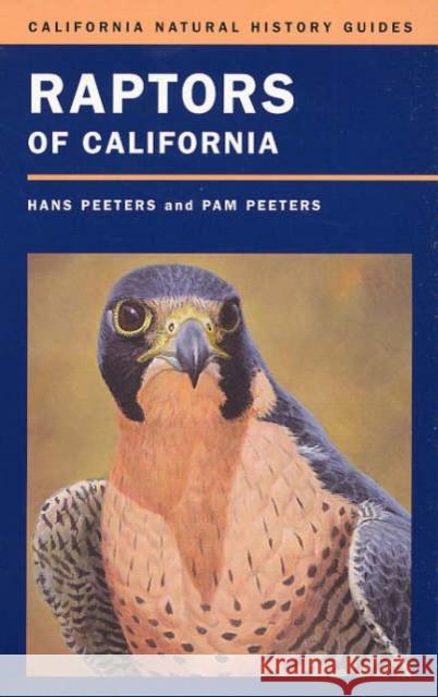 Raptors of California: Volume 82 Peeters, Hans J. 9780520242005 University of California Press - książka