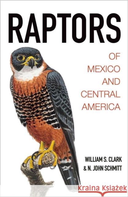 Raptors of Mexico and Central America  9780691116495 Princeton University Press - książka