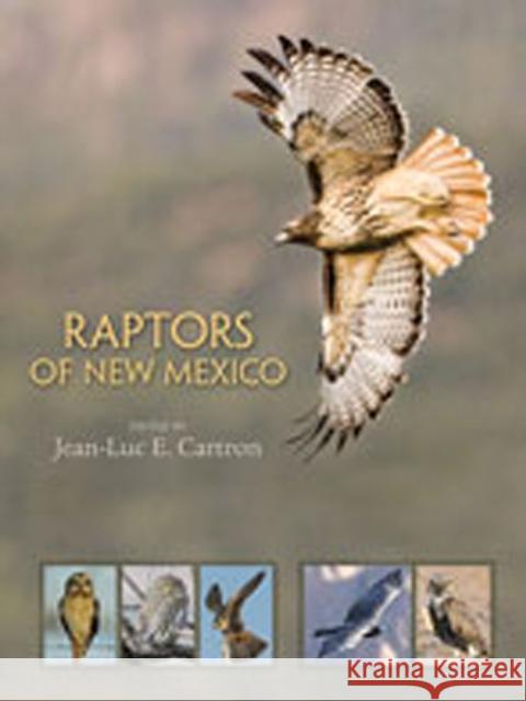 Raptors of New Mexico Jean-Luc E. Cartron 9780826341457 University of New Mexico Press - książka