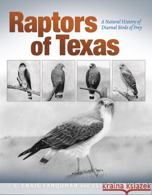 Raptors of Texas: A Natural History of Diurnal Birds of Prey Charles Craig Farquhar 9781623499204 Texas A&M University Press - książka