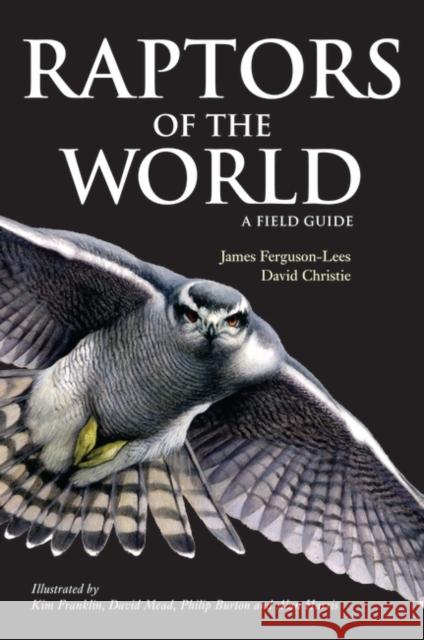 Raptors of the World: A Field Guide David A. Christie, James Ferguson-Lees 9780713669572 Bloomsbury Publishing PLC - książka
