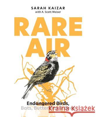 Rare Air: Endangered Birds, Bats, Butterflies, & Bees Sarah Kaizar A. Scott Meiser 9781680515510 Mountaineers Books - książka