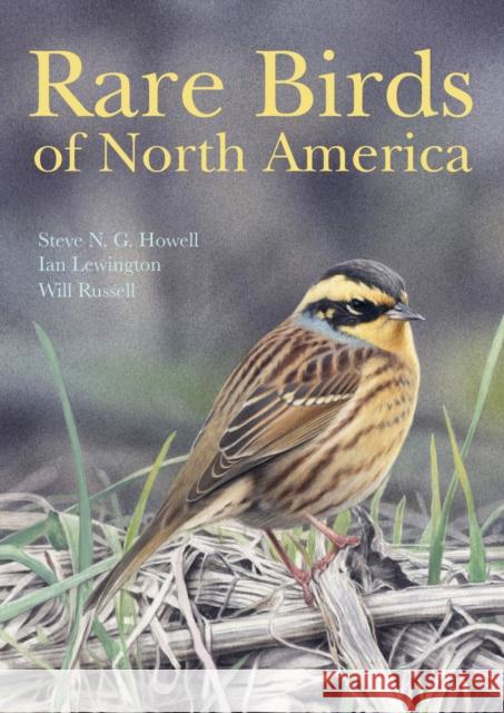 Rare Birds of North America  Howell 9780691117966  - książka