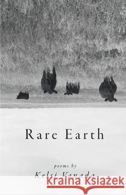 Rare Earth Kelsi Vanada 9781646621620 Finishing Line Press - książka