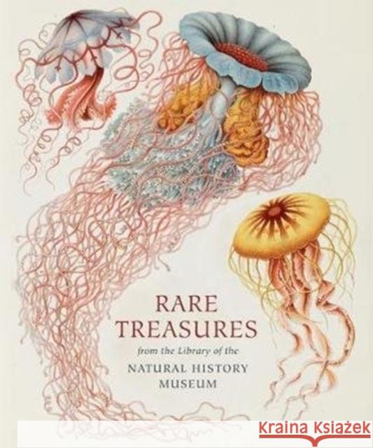 Rare Treasures: From the Library of the Natural History Museum Magee, Judith 9780565094447 The Natural History Museum - książka