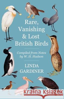 Rare, Vanishing and Lost British Birds: Compiled from Notes by W. H. Hudson Linda Gardiner, W H Hudson 9781528701785 Read Books - książka