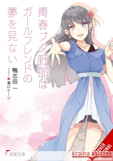 Rascal Does Not Dream of His Girlfriend (light novel) Keji Mizoguchi 9798855418293 Little, Brown & Company - książka