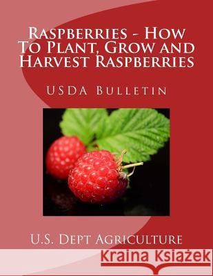 Raspberries - How To Plant, Grow and Harvest Raspberries: USDA Bulletin Chambers, Roger 9781548782177 Createspace Independent Publishing Platform - książka