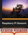 Raspberry Pi Sensors Rushi Gajjar   9781784393618 Packt Publishing