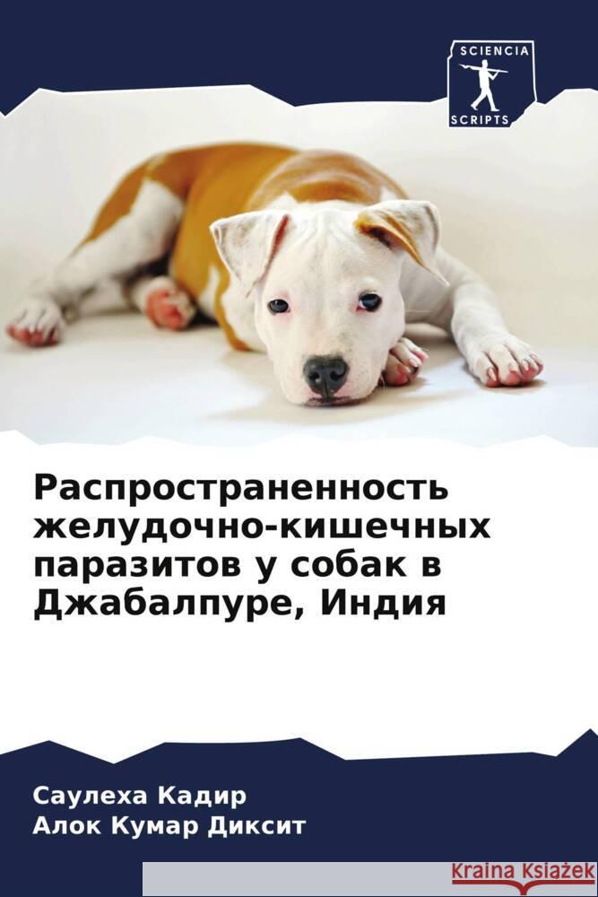 Rasprostranennost' zheludochno-kishechnyh parazitow u sobak w Dzhabalpure, Indiq Kadir, Sauleha, Dixit, Alok Kumar 9786208025823 Sciencia Scripts - książka