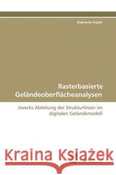 Rasterbasierte Geländeoberflächeanalysen : zwecks Ableitung der Strukturlinien im digitalen Geländemodell Gajski, Dubravko 9783838104072 Südwestdeutscher Verlag für Hochschulschrifte - książka
