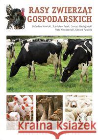 Rasy zwierząt gospodarskich Nowicki Bolesław Jasek Stanisław Maciejowski Janusz 9788301166649 Wydawnictwo Naukowe PWN - książka