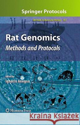 Rat Genomics: Methods and Protocols Anegon, Ignacio 9781603273886 Humana Press - książka