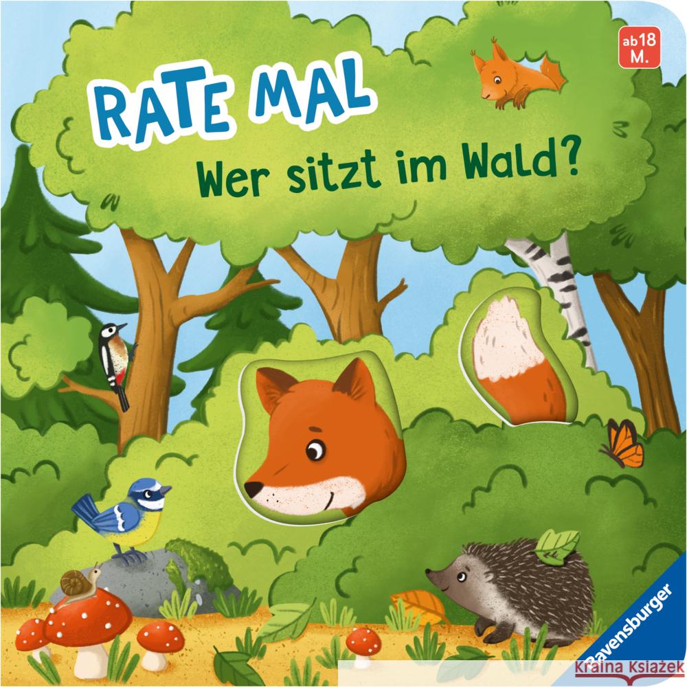 Rate mal: Wer sitzt im Wald? Penners, Bernd 9783473418466 Ravensburger Verlag - książka