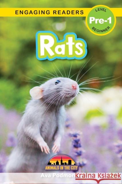 Rats: Animals in the City (Engaging Readers, Level Pre-1) Ava Podmorow 9781774767696 Engage Books - książka