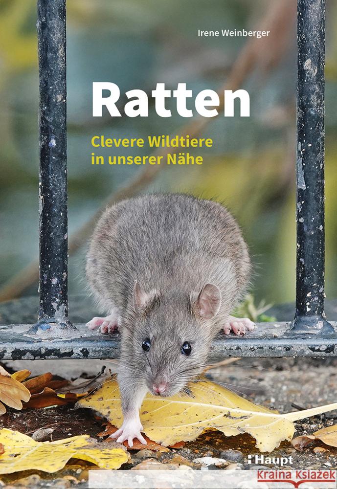 Ratten Weinberger, Irene 9783258083155 Haupt - książka