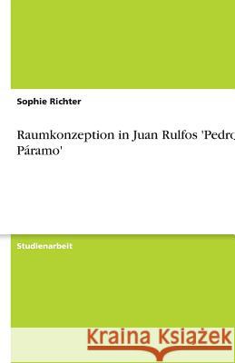 Raumkonzeption in Juan Rulfos 'Pedro Paramo' Sophie Richter 9783640633845 Grin Verlag - książka