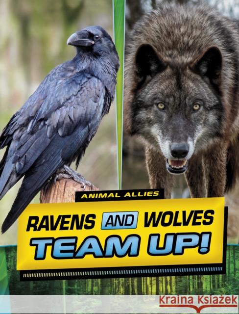 Ravens and Wolves Team Up! Stephanie True Peters 9781398253643 Capstone Global Library Ltd - książka