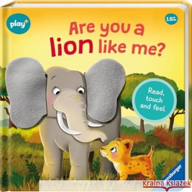 Ravensburger Play+ Infant & Toddler - Are you a Lion like me?: Read, touch and feel Kathrin Lena Orso 9783380970026 Ravensburger Verlag GmbH - książka