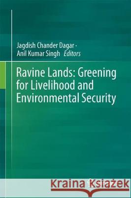 Ravine Lands: Greening for Livelihood and Environmental Security Jagdish Chander Dagar Anil Kumar Singh 9789811080425 Springer - książka