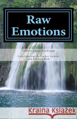 Raw Emotions: A Collection of Poetry Aneirin Conor Pendragon Tucker Gabriel Rebecca Biek 9781492185543 Createspace - książka