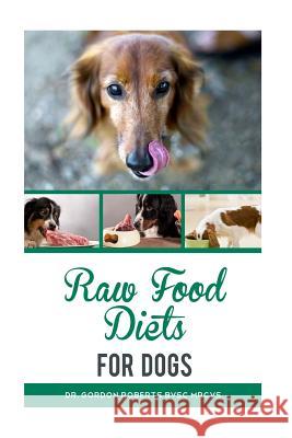 Raw Food Diets for Dogs Dr Gordon Robert 9781502925398 Createspace - książka