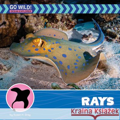 Rays in the Wild Susan Gray 9781668972823 Cherry Lake Publishing - książka
