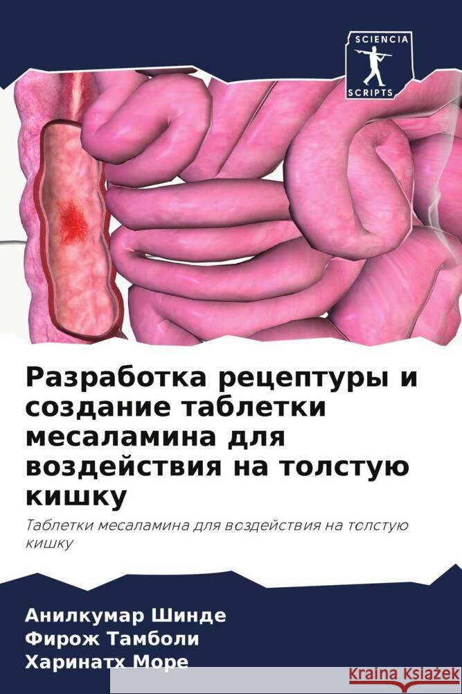 Razrabotka receptury i sozdanie tabletki mesalamina dlq wozdejstwiq na tolstuü kishku Shinde, Anilkumar, Tamboli, Firozh, More, Harinath 9786208316952 Sciencia Scripts - książka