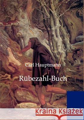 Rübezahl-Buch Hauptmann, Carl 9783846000700 Salzwasser-Verlag - książka