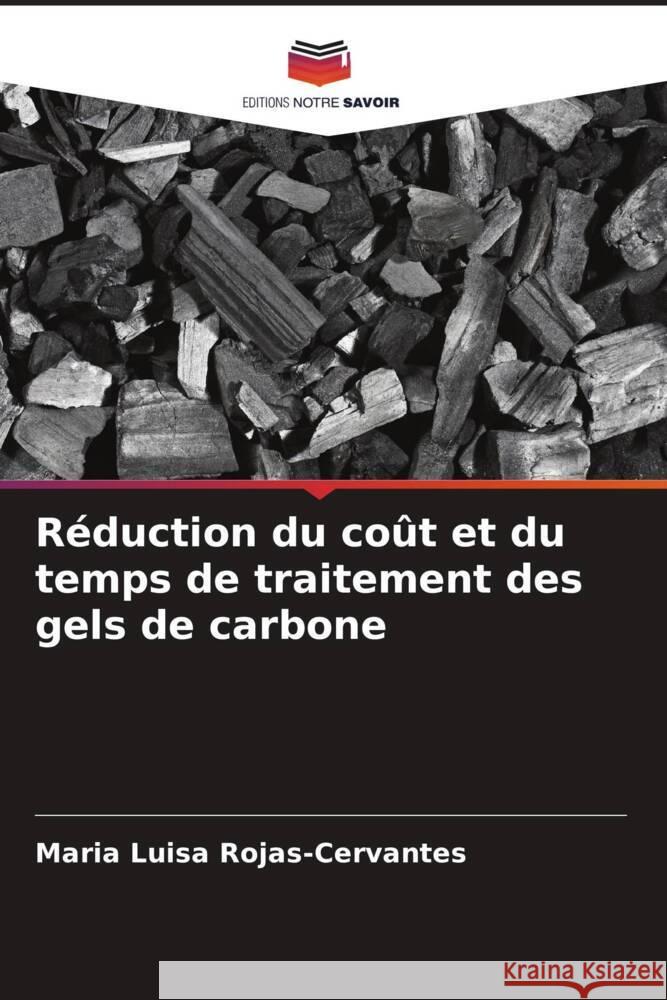 Réduction du coût et du temps de traitement des gels de carbone Rojas-Cervantes, Maria Luisa 9786202607230 Editions Notre Savoir - książka