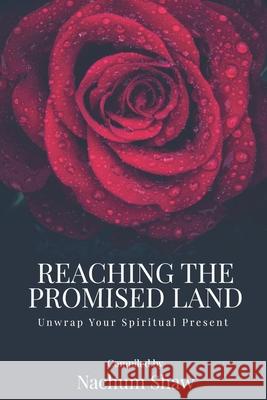 Reaching the Promised Land: Unwrap Your Spiritual Present Nigel Shaw Nachum Shaw 9780995656031 Promised Land - książka