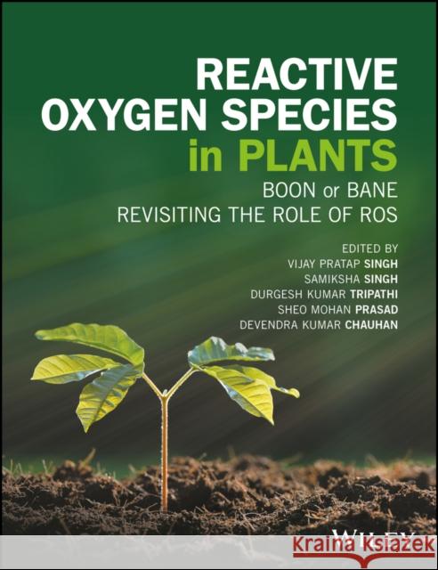 Reactive Oxygen Species in Plants: Boon or Bane - Revisiting the Role of Ros Singh, Samiksha 9781119287292 John Wiley & Sons - książka
