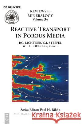 Reactive Transport in Porous Media Peter C. Lichtner, Carl I. Steefel, Eric H. Oelkers 9780939950423 Mineralogical Society of America - książka