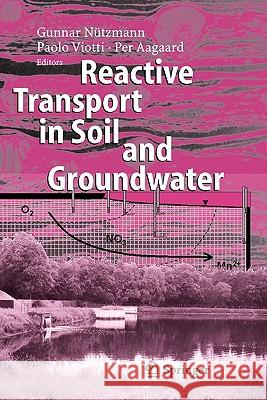 Reactive Transport in Soil and Groundwater: Processes and Models Nützmann, Gunnar 9783642065927 Not Avail - książka